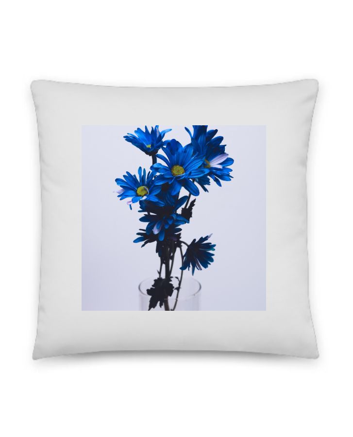  blue and white pillow cover - Front