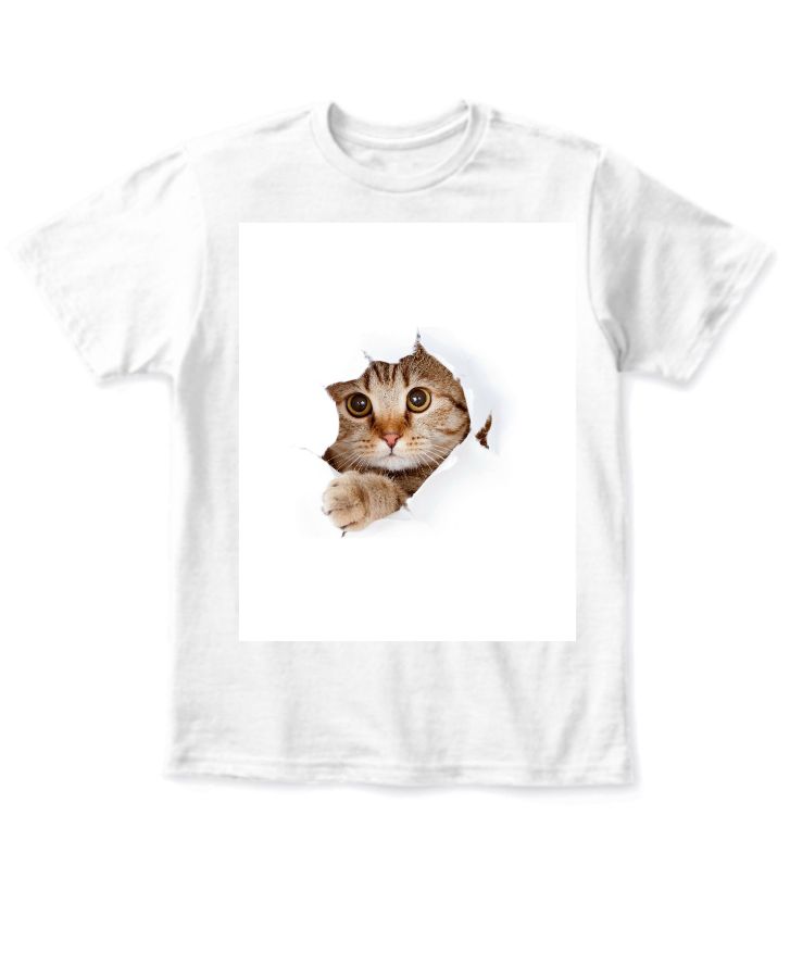 CAT TEE | KIDS HALF SLEEVED TEE - Front