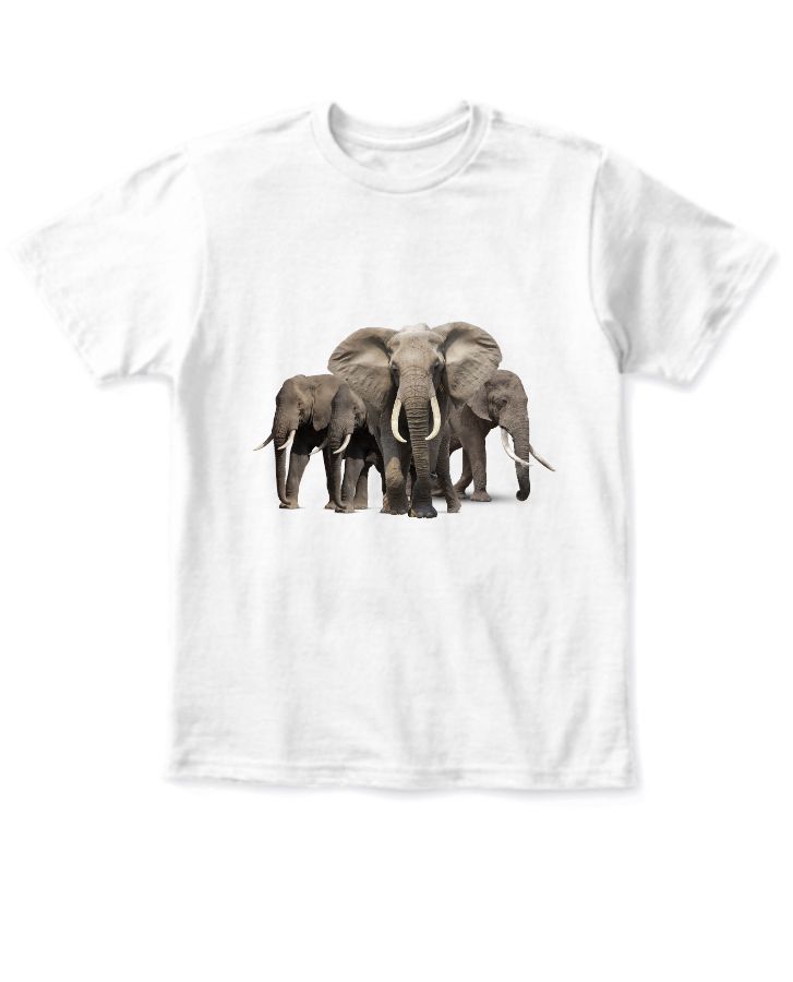 Elephant Kid's T-Shirt - Front