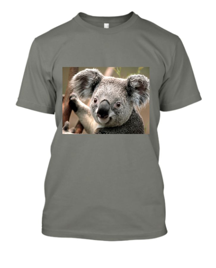 Koala - Front