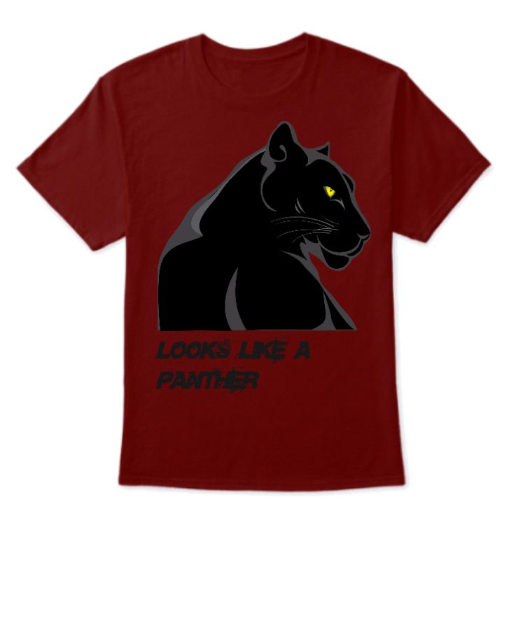 Looks like a panther - Front