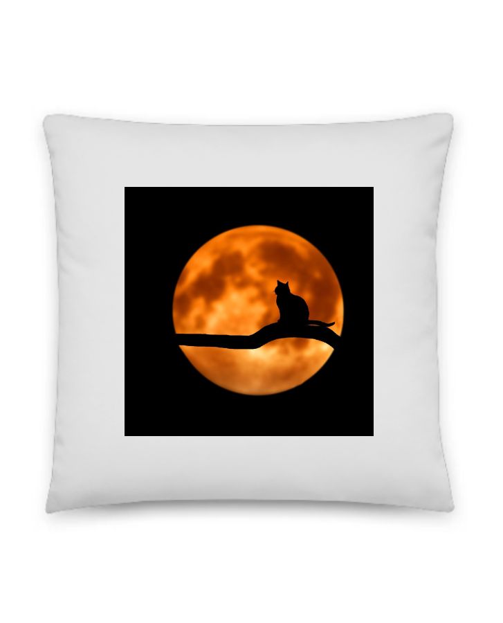 Moon And Cat Silvate Photo Printed Pillow - Front