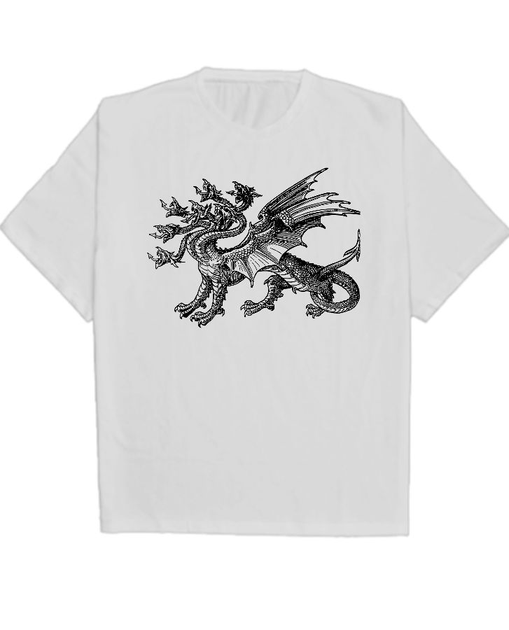 Moon Dragon | Oversized Tshirt - Front