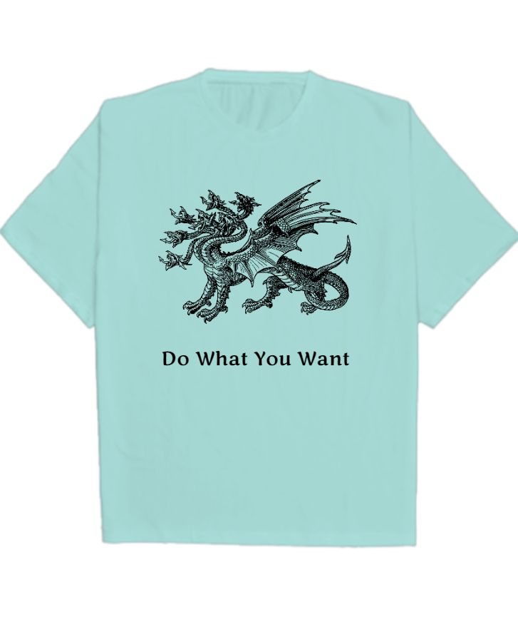 Oversized Dragon Tshirt/ - Front