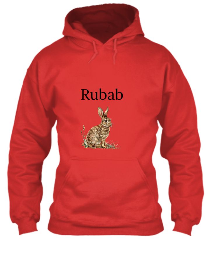 Rabbit t-shirt - Front