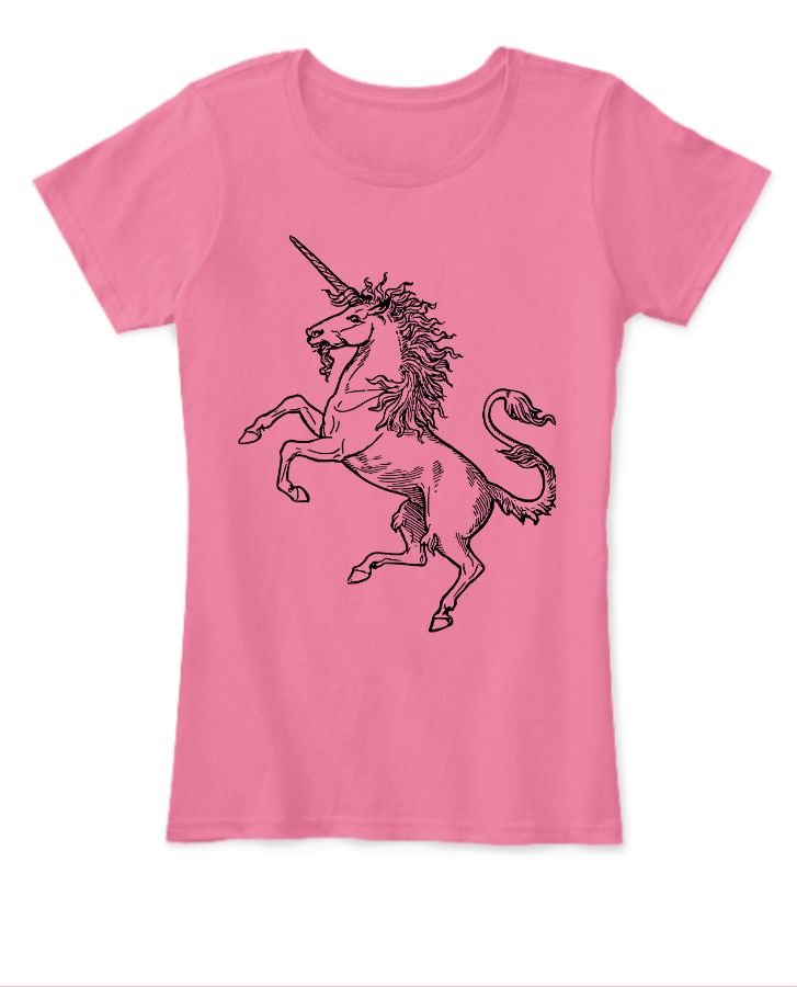 The unicorn girl - Front