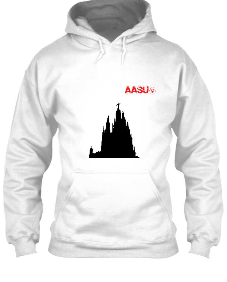 This is a aasu brand and in this we have a small and black desigh - Front