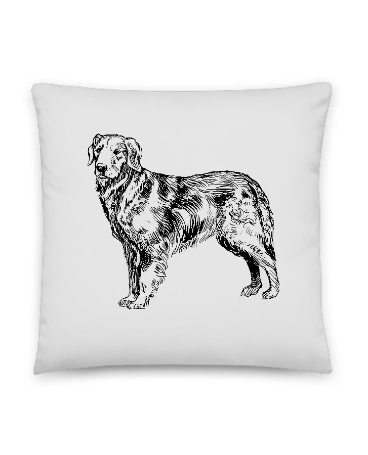 Throw Pillow - Front