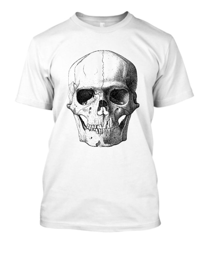 skull - Front